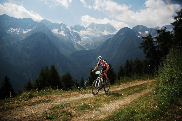 transalp82_gross