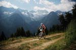 transalp82_gross